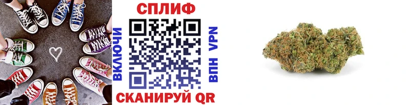 Где можно купить наркотики Рудня АМФ  Меф мяу мяу  А ПВП  Гашиш  blacksprut ССЫЛКА  Канабис 