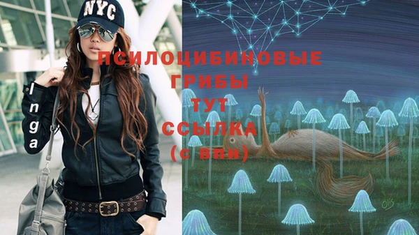 эйфоретик Балахна