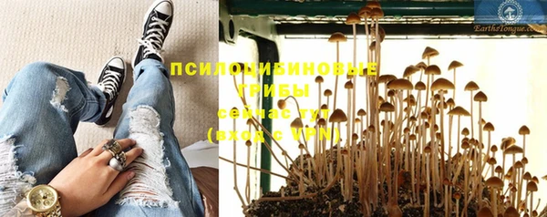 ПСИЛОЦИБИНОВЫЕ ГРИБЫ Балабаново