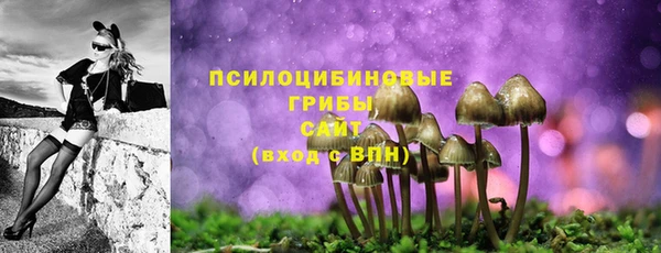 гидра Белокуриха