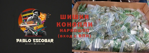 ПСИЛОЦИБИНОВЫЕ ГРИБЫ Балабаново