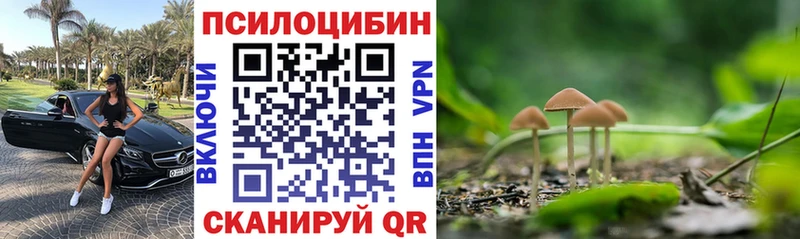Галлюциногенные грибы мухоморы  Рудня 