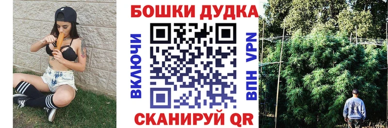 shop как зайти  Рудня  Бошки марихуана THC 21% 